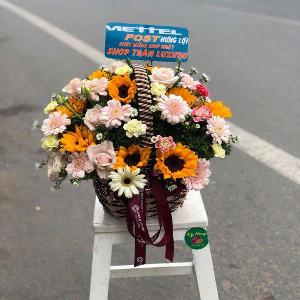 Giỏ hoa tươi chúc mừng HCM202046